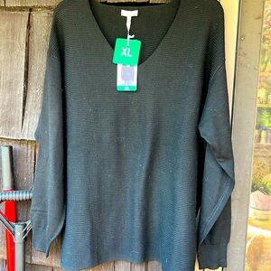 NWT Size XL Ella Moss ribbed knit v neck sweater. Super soft.